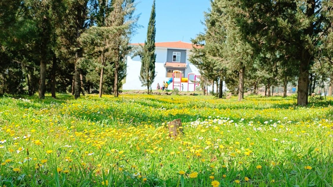 Eğitim Ortamları ve Fizikî İmkânlar Alanı